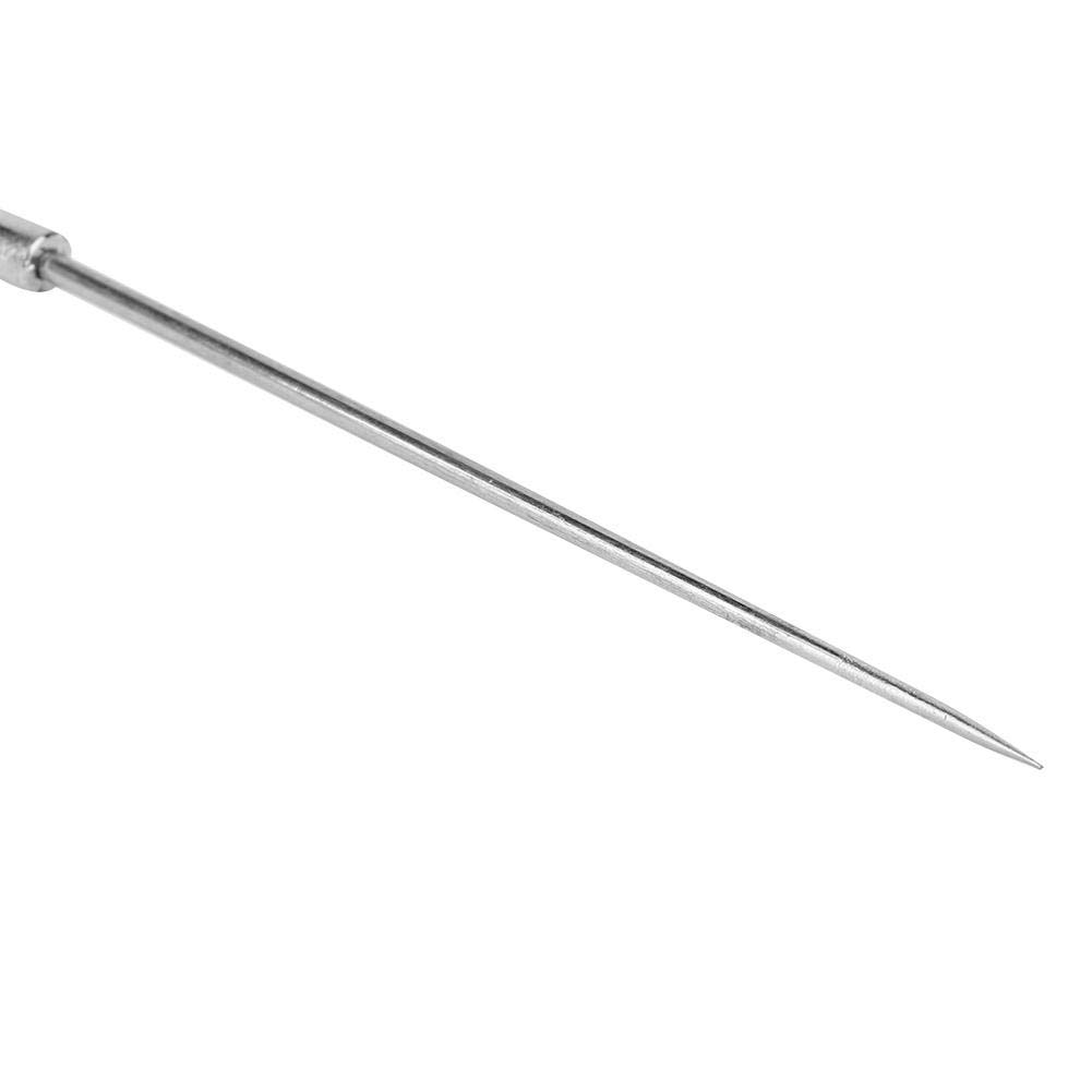 Set di 5 aghi in acciaio inox per esperimento di insetti