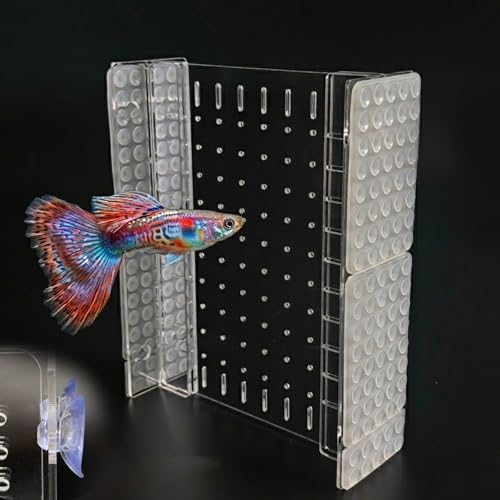 LIYAOLI Fish Tank Divider 8x9 Acrylic Aquarium Divider Clear Adjustable with Suction Cups for 5 Gallon Fish Tank
