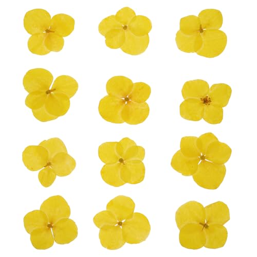 Flores prensadas secas amarillas, 48 piezas para manualidades miniatura 1