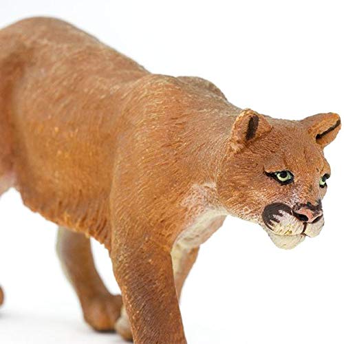 Amazon | Safari (サファリ) ピューマ マウンテンライオン 動物