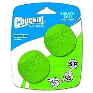 ChuckIt-Dog-Erratic-Ball-Large-3-Inch-1-Pack - Cucciolini Doodles   ChuckIt-Dog-Erratic-Ball-Large-3-Inch-1-Pack
