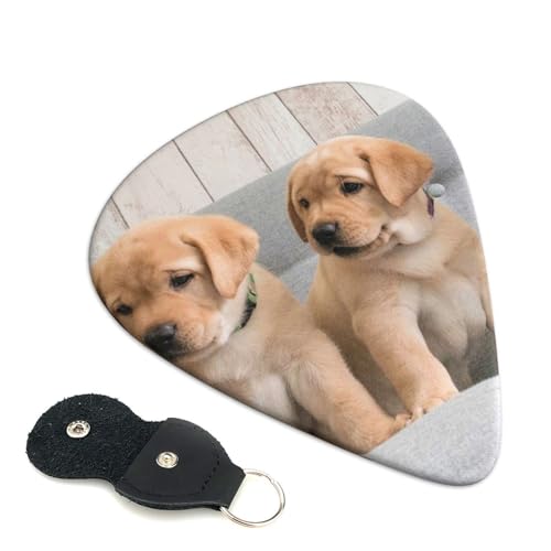 ゴールデンとラブラドールの子犬 エレキベースウクレレピック Abs 素材エレアコ弦楽器 初心者トライアングルピック 6 枚セット 0.96mm