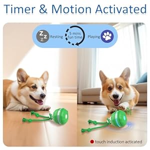 Interactive Dog Toys, Motion Activated Automatic Rolling Ball Toys, Wicked Ball, Squeaky Dog Toy for Small Dogs/Puppy…