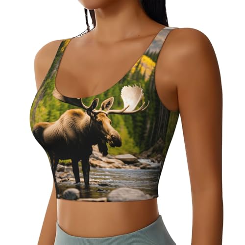 Débardeur de sport femme yoga Deer Bear top imprimé élan sans manche