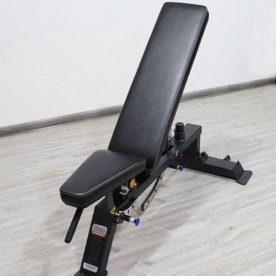 Verstellbare Hantelbank P40, professionelle Hantelbank aus Stahl, Hantelbank für Bauchmuskeln und funktionelles Training, Fitnessstudio und Home-Gym, Bodybuilding