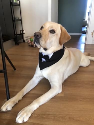 Smoking-Halstuch für Hunde – Eleganter Hundekragen für Hochzeit, Geburtstag & Fotoshooting – Verstellbarer Haustier-Schal im Anzugstil – Festliches Hundeaccessoire (Smoking Schwarz/Weiß, M)