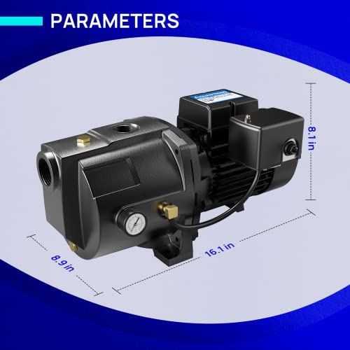 Aquastrong 3/4Hp Shallow Well Jet Pump, 1130Gph, Cast Iron, Well Depth Up To 25Ft, 115V/230V Dual Voltage, Automatic Pressure Switch, Versatile Pump For Farm, Lawn, Garden #TOP5