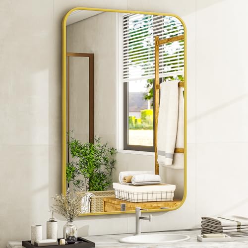 Easly 20 x 28 Inch Bathroom Mirror, Rounded Rectangular Vanity