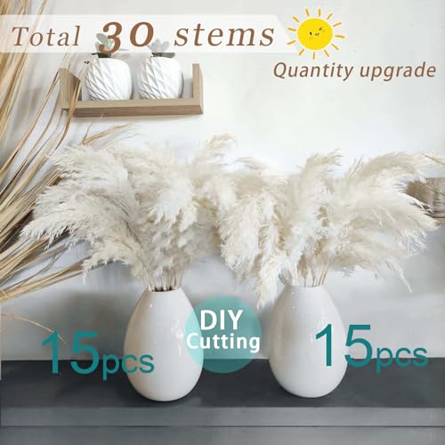 ROOLLYA 17 inch 20 Stems Pampas Grass Decor Tall -Natural Fluffy Pampas Grass Tall Pompas Grass for Floor Vase - Boho Decor Home Decor Wedding Decor Event Decor, 2404-c15-30white-45cm
