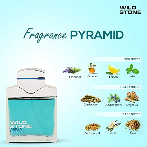 Image of Wild Stone Aqua Fresh Eau De Perfume Spray For Men, 100ml