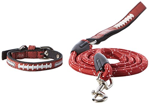 Gamewear NFL Oakland Raiders Pebble Grain Toy Football Collar & Medium Leash Gift Pack, One Size, Brown