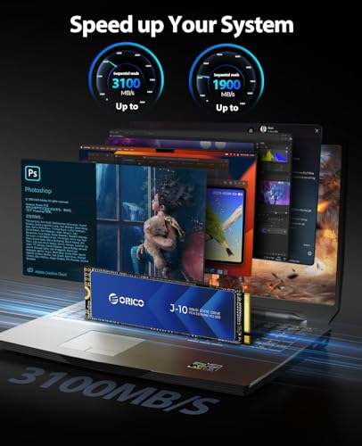 ORICO 1TB NVMe M2 SSD PCIe Gen30x4 2280 Fino a 3100 MBs 3D NAND SSD Interno con Dissipatore di Calore Unitagrave a Stato Solido Interne per PC e Montaggio Video J10