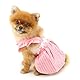 PAIDEFUL Kleid für kleine Hunde, elegantes Sommerkleid, gestreifter Welpenrock mit Blumenstickerei, Sommerriemen, Prinzessinnenkleider, coole Haustierkleidung, niedliches Katzen-, Chihuahua-Kostüm,