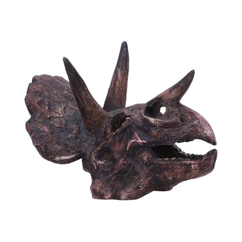 Nemesis Now Dinosaur Skull Statue - Gifts & Decor for Paleontology Enthusiasts and Collectors - Hand-Painted Resin Dinosaur Fossil - Triceratops