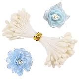 CCINEE 900pcs 3mm Stamens for Pipe Cleaner Flowers Making, Double Heads Artificial Floral Pistil for DIY...