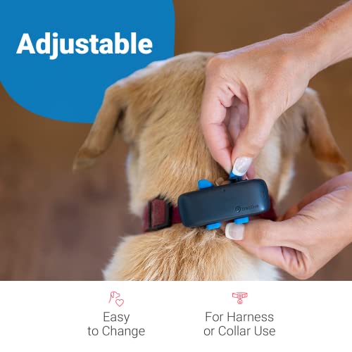 Tractive Gps Dog Tracker Rubber Attachment Clips (Pack Of 3), Blue, 2.8 Cm #TOP2