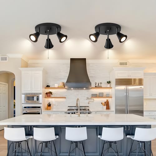 Image of 3-Light Industrial Directional Track Lighting with Pull Chain On /Off, Black Ceiling Spotlight, Morden Flush Mount Kitchen Light for Hallway,Di