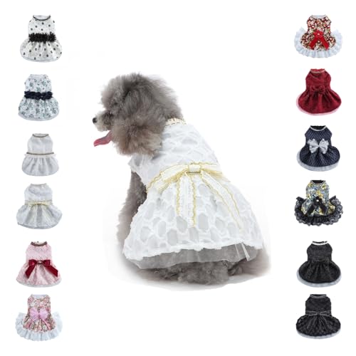 ybg ^ ^ tėp s[X  Ȃ hbOEFA  hX XJ[g Pl m  y L̕   ʋC GǍD U o|  j LOp[eB[ LOBe (D,L)