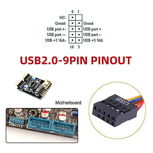 Cablecc Motherboard 9Pin 10Pin Female Housing to Dual USB 2.0 Male Type-A Cable 50cm, 50 cm - Image 4