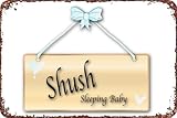 Shush Sleeping Baby Sign Text Art Poster Metal Tin Logo Retro Metal Logo Art Poster Art Logo Iron Logo Bar Garage Cafe Bar Dominic Wall Decor 20.3 x 30.5 cm