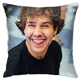 David Smile Do_brik Pillow Case Home Decor Sofa Bed Protectors Square Does Not Include Filler