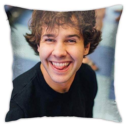 David Smile Do_brik Pillow Case Home Decor Sofa Bed Protectors Square Does Not Include Filler
