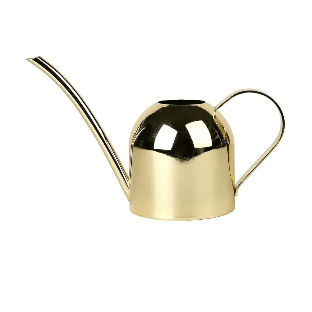 Arrosoir design en acier inoxydable pour plantes, bouilloire de jardin