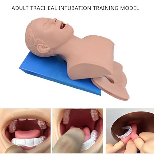 Entraîneur d'intubation AMITD avec alarme pour formation médicale - 5