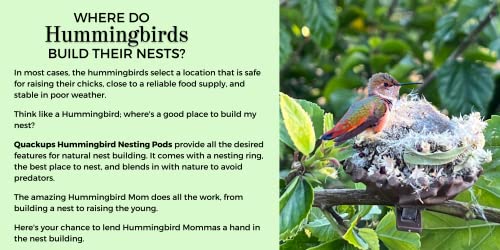 Quackups 2.6" Hummingbird Nesting Pods™, 2-Pk With Clips To Easily Attached On Branch For Outdoor Patio Garden Bird House #TOP7