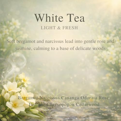 Image of Car Air Freshener Refill for Smart Car Diffuser, 3 x 10ml Fragrance Oil Refills, Vent Clip Compatible, Long Lasting Car Diffuser Refill (White Tea)