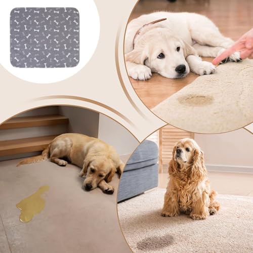 Waschbare Hundetoiletten | Wiederverwendbare Auslaufsichere Matte | Saugfähige Geruchsneutrale rutschfeste Hundetrainingsmatte | Für Training Innenbereich Transportbox Balkon Hundezwinger Boden