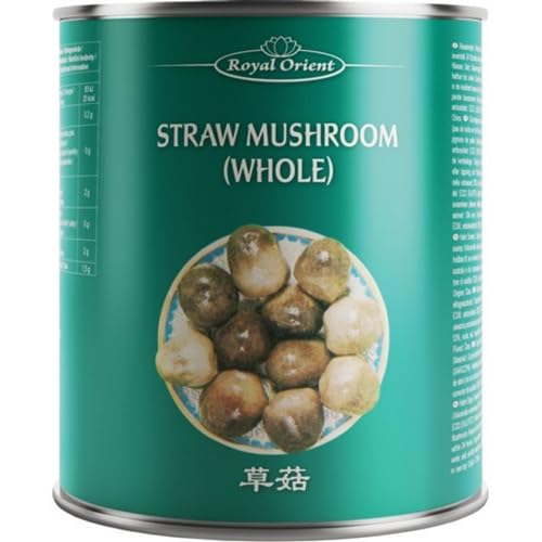 REAL ORIENTE - Champiñones paja - (1 X 2840 GR)