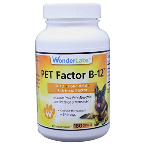 WonderLabs Pet Factor B-12 | Vitamin B-12 in Methylcobalamin Form | Popular in Treatment of EPI in Dogs