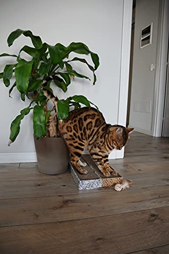 Croci Zebra - Tiragraffi per gatti in cartone