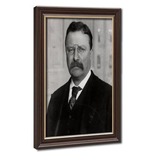Cadre suspendu Theodore Roosevelt deco murale en toile de lin de qualite superieure