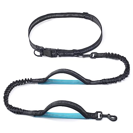 iYoShop Retractable Hands Free Dog Leash - Dual Handle Bungee Waist Leash for Small, Medium and Large Dogs (Medium/Large, 25-150 lbs, Black)