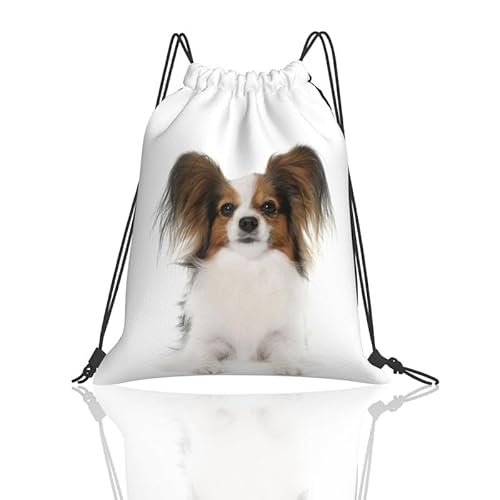 [FURONGA] a ps  ibvTbN WTbN bNTbN X|[cobO bN v[obO obNpbN ̑ e [֗ y  W  Lv j Aj ObY G j̎q ̎qi19j