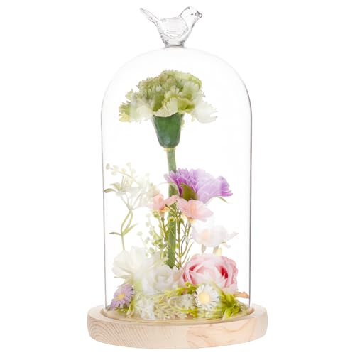 BENECREAT Cloche Dôme en Verre de 122x230mm avec Poignée en Forme D'Oiseau Cache Verre à Fleurs Éternelles avec Base en Bois pour Spécimens de Plantes Décoration DIY