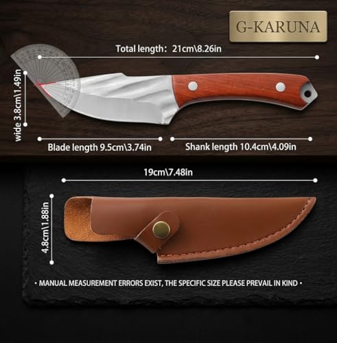 Image of Professional Chef Knife VG10 Steel, Razor Sharp Hand Forged Japanese Kitchen Knife, Full Tang High Carbon Stainless Steel, Multipurpose Meat Vegetable Knife with Leather Sheath (Pack of 1)