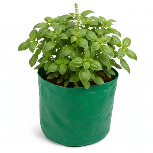 Image of BIO Blooms HDPE Grow Bags 24x24 Inch | Pack of 5 | Dual Color Green & Orange | Strong Stitching | Terrace Balcony Garden Use | Portable Lightweight Durable Outdoor Planters | 200 GSM