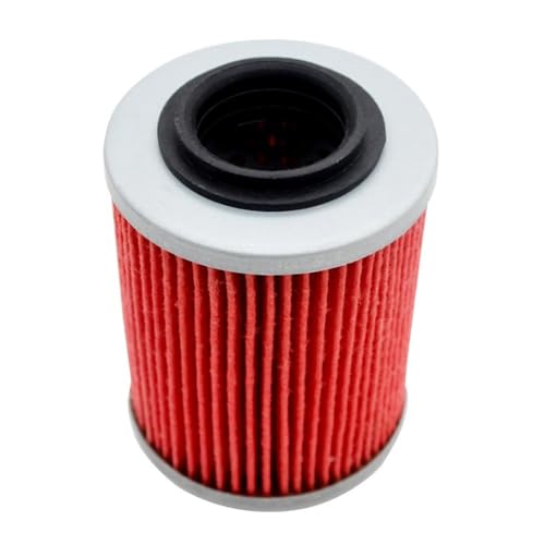 Filtre à huile ETV1000 évite usure moteur RSV1000R 05-09