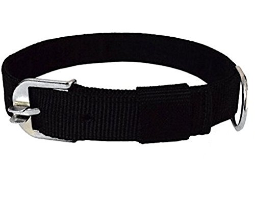 MUNCHOS Fine Quality Dog Collar for Medium Dogs (1-inch) Black (B079FTXHL2) Amazon Price History, Amazon Price Tracker