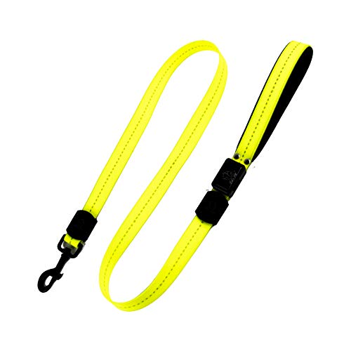 IXIGER Laisse pour Chien LED Rechargeable par USB 6 Couleurs (Rouge, Bleu, Vert, Rose, Orange et Jaune) Idéal pour Une Utilisation avec Notre Collier Illumiseen Assorti