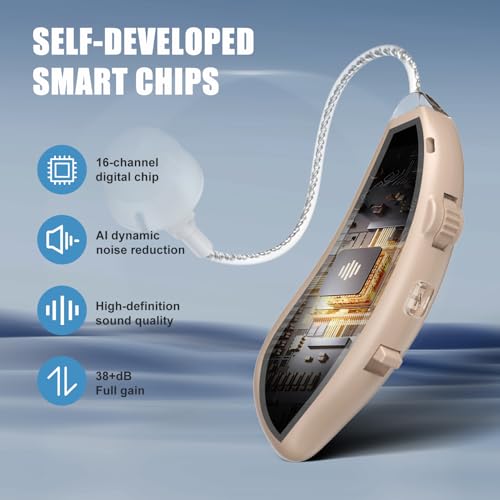 Flaygo GM-353T Rechargeable Hearing Aids For Seniorshearing Loss (Not Hearing Amplifier) Latest 16.Channel Digital Otc Hearing Aid thumb #1