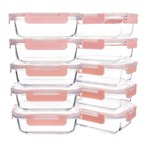 10 Pack 22 oz Glass Meal Prep Containers, Food Storage Containers with Lids