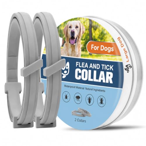UDyoude Collar Image