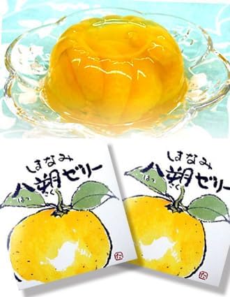 愛媛の柑橘ゼリー 島八朔ゼリー 12個
