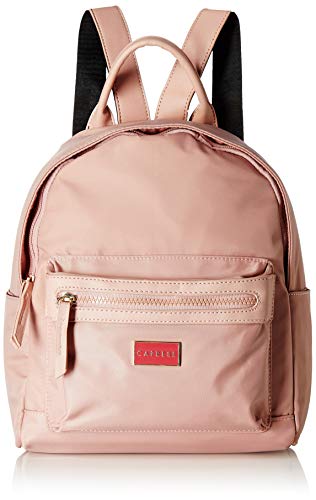 Caprese womens CINDY BP Small SOFT PINK Backpack (B07Q4DFTB4) Amazon Price History, Amazon Price Tracker