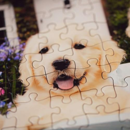 Rompecabezas Ravensburger Feel Well - Golden Retriever - 200 piezas | Piezas más gruesas, formato de imagen grande y soporte incluido | Rompecabezas de calidad premium fabricado en Europa miniatura 6