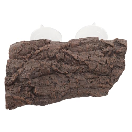 FUTUREORYY pE~K̎Nw v̂   ȋz t   ɂ 